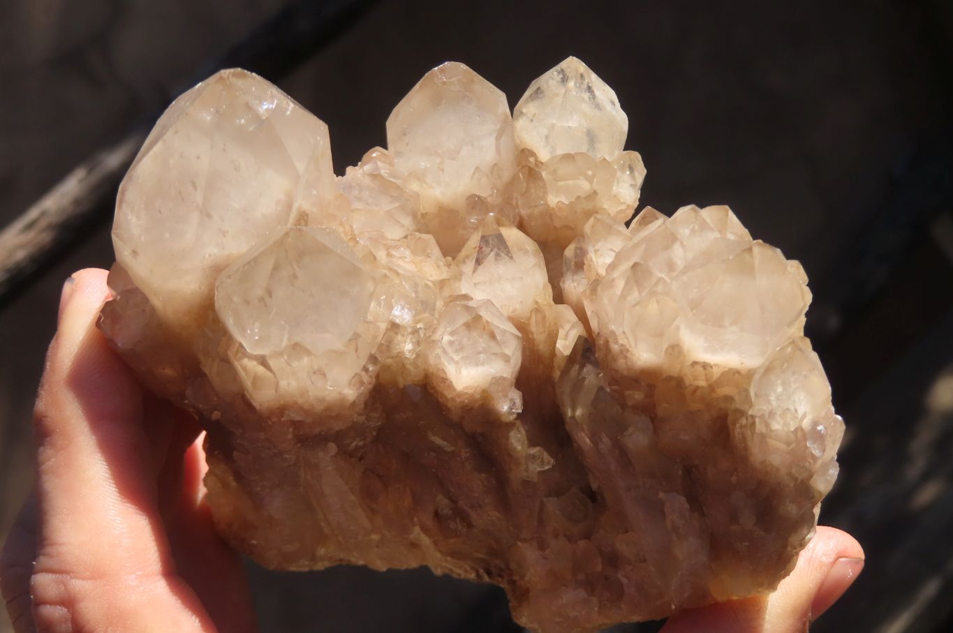 Natural Cascading Smokey Quartz Clusters x 2 From Luena, Congo - Toprock Gemstones and Minerals 