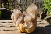 Natural Cascading Smokey Quartz Clusters x 2 From Luena, Congo - Toprock Gemstones and Minerals 