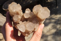 Natural Cascading Smokey Quartz Clusters x 2 From Luena, Congo - Toprock Gemstones and Minerals 