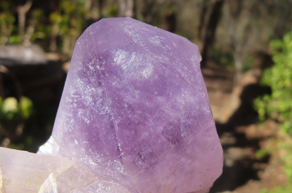 Natural Jacaranda Amethyst Clusters x 2 From Mumbwe, Zambia - Toprock Gemstones and Minerals 