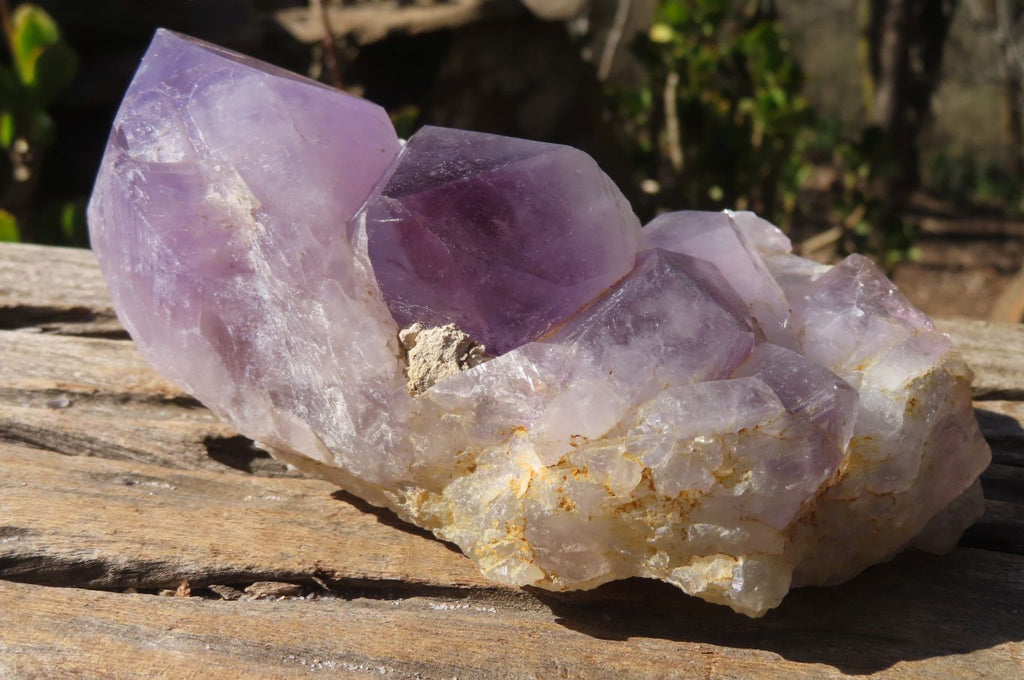 Natural Jacaranda Amethyst Clusters x 2 From Mumbwe, Zambia - Toprock Gemstones and Minerals 