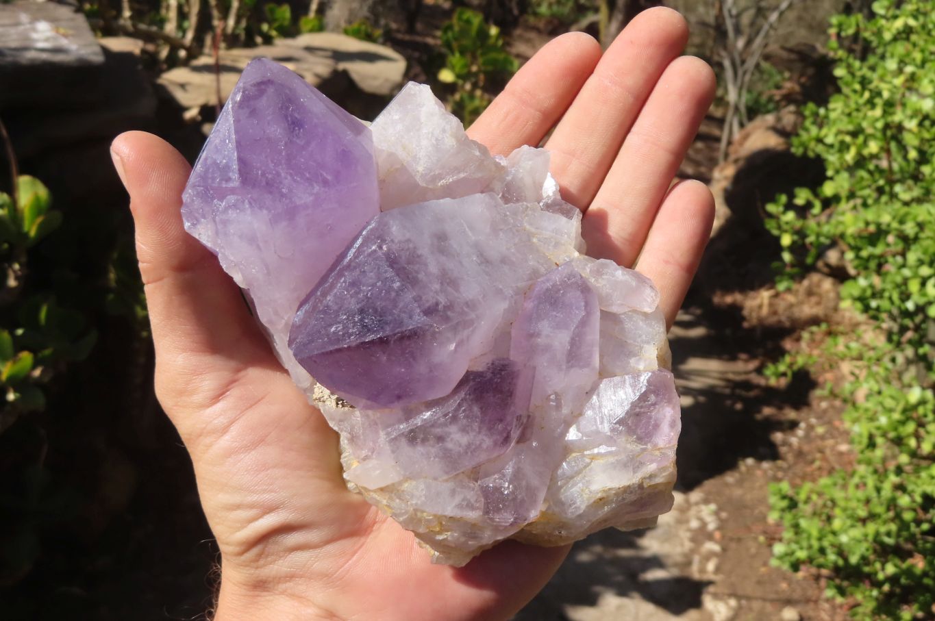Natural Jacaranda Amethyst Clusters x 2 From Mumbwe, Zambia - Toprock Gemstones and Minerals 