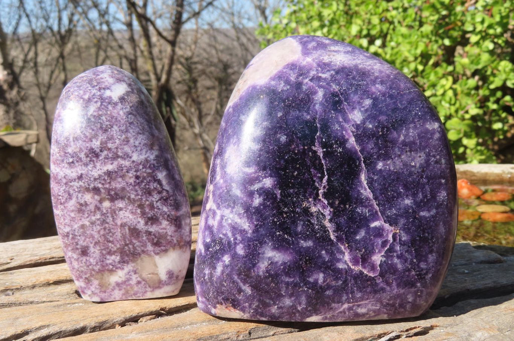 Polished Purple Lepidolite Standing Free Forms  x 2 From Zimbabwe - Toprock Gemstones and Minerals 
