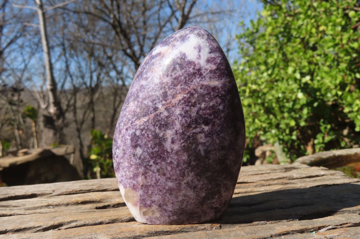 Polished Purple Lepidolite Standing Free Forms  x 2 From Zimbabwe - Toprock Gemstones and Minerals 