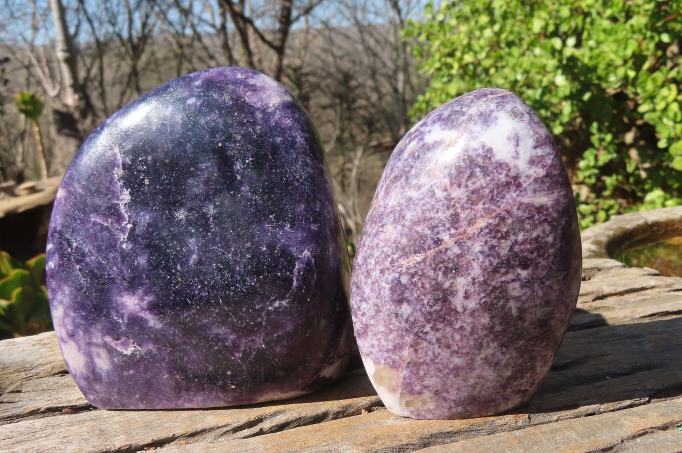 Polished Purple Lepidolite Standing Free Forms  x 2 From Zimbabwe - Toprock Gemstones and Minerals 