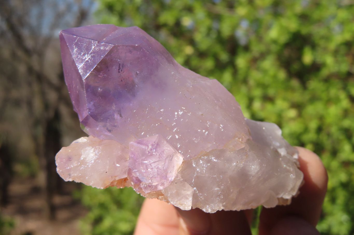 Natural Jacaranda Amethyst Specimens x 12 From Mumbwe, Zambia - Toprock Gemstones and Minerals 