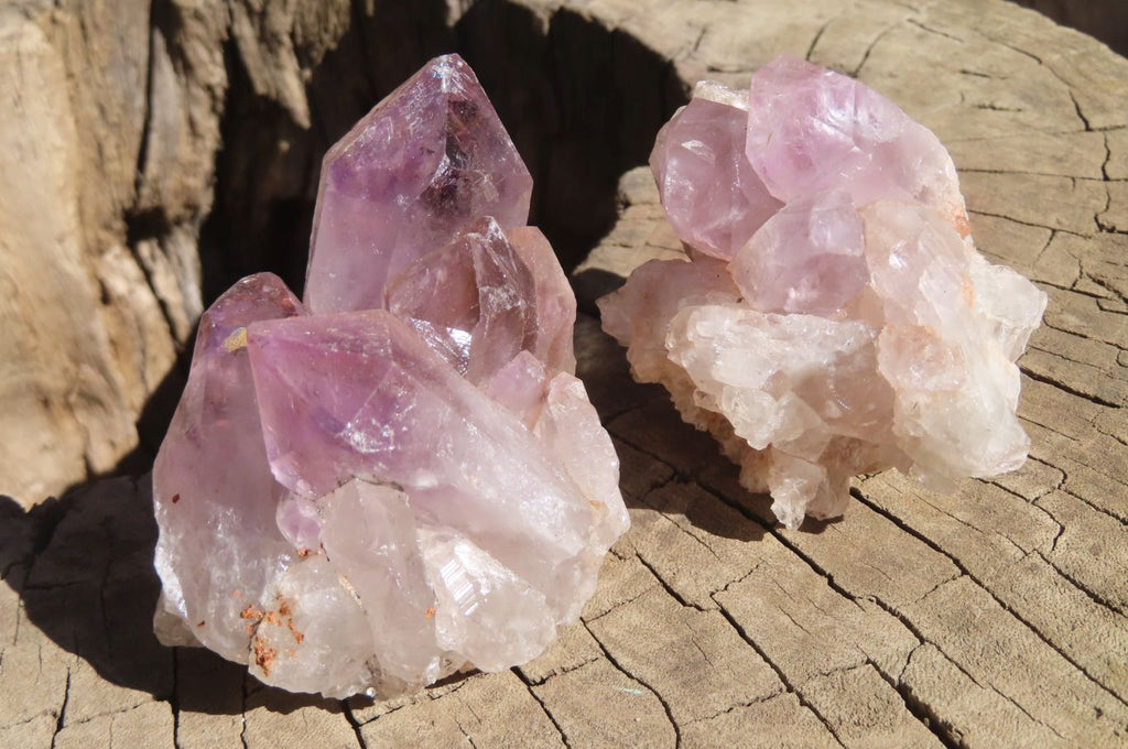 Natural Jacaranda Amethyst Specimens x 12 From Mumbwe, Zambia - Toprock Gemstones and Minerals 