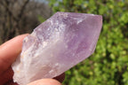Natural Jacaranda Amethyst Specimens x 12 From Mumbwe, Zambia - Toprock Gemstones and Minerals 