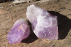 Natural Jacaranda Amethyst Specimens x 12 From Mumbwe, Zambia - Toprock Gemstones and Minerals 