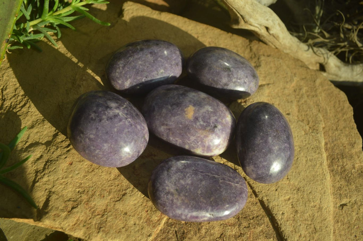 Polished Large Lepidolite Gallets x 6 From Zimbabwe - Toprock Gemstones and Minerals 