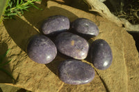 Polished Large Lepidolite Gallets x 6 From Zimbabwe