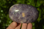 Polished Large Lepidolite Gallets x 6 From Zimbabwe - Toprock Gemstones and Minerals 