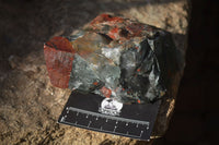 Natural Rough Bloodstone Specimens  x 5 From Swaziland