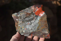 Natural Rough Bloodstone Specimens  x 5 From Swaziland