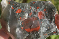 Natural Rough Bloodstone Specimens  x 5 From Swaziland