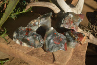 Natural Rough Bloodstone Specimens  x 5 From Swaziland