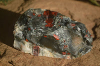 Natural Rough Bloodstone Specimens  x 5 From Swaziland