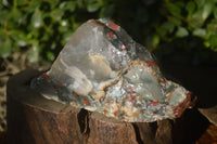 Natural Rough Bloodstone Specimens  x 5 From Swaziland