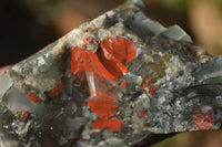 Natural Rough Bloodstone Specimens  x 5 From Swaziland
