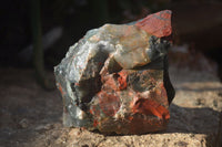 Natural Rough Bloodstone Specimens  x 5 From Swaziland