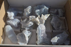 Natural Etched Blue Chalcedony Specimens x 12 From Nsanje, Malawi - Toprock Gemstones and Minerals 