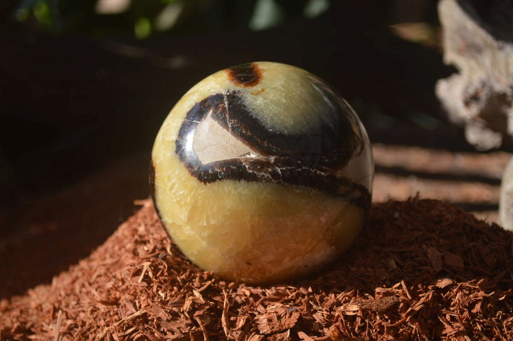 Polished Septaria Spheres x 4 From Mahajanga, Madagascar - Toprock Gemstones and Minerals 