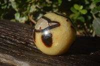 Polished Septaria Spheres x 4 From Mahajanga, Madagascar - Toprock Gemstones and Minerals 