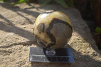 Polished Septaria Spheres x 4 From Mahajanga, Madagascar - Toprock Gemstones and Minerals 