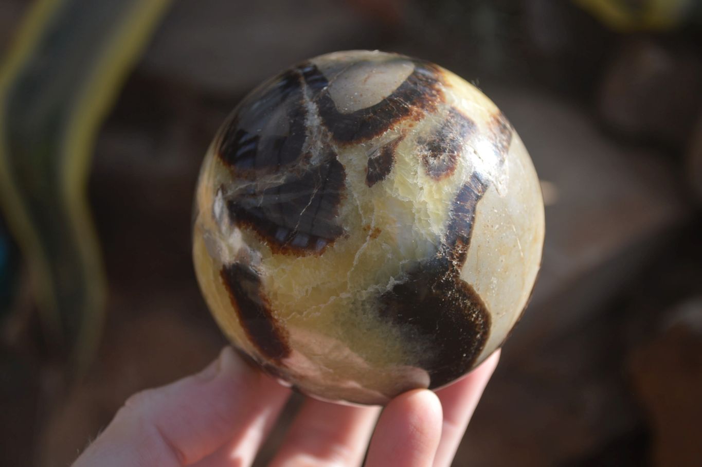 Polished Septaria Spheres x 4 From Mahajanga, Madagascar - Toprock Gemstones and Minerals 