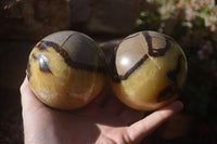 Polished Septaria Spheres x 4 From Mahajanga, Madagascar - Toprock Gemstones and Minerals 