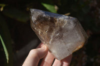 Polished Smokey Window Quartz Points x 2 From Ankazobe, Madagascar - Toprock Gemstones and Minerals 