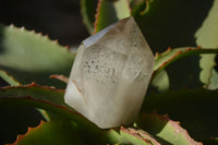Polished Smokey Window Quartz Points x 2 From Ankazobe, Madagascar - Toprock Gemstones and Minerals 