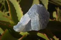 Natural Etched Blue Chalcedony Specimens x 3 From Nsanje, Malawi - Toprock Gemstones and Minerals 