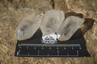Natural Clear Quartz Crystals x 35 From Mpika, Zambia