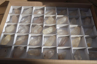 Natural Clear Quartz Crystals x 35 From Mpika, Zambia