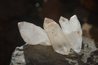 Natural Clear Quartz Crystals x 35 From Mpika, Zambia