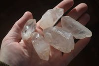 Natural Clear Quartz Crystals x 35 From Mpika, Zambia