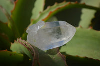 Natural Clear Quartz Crystals x 35 From Mpika, Zambia