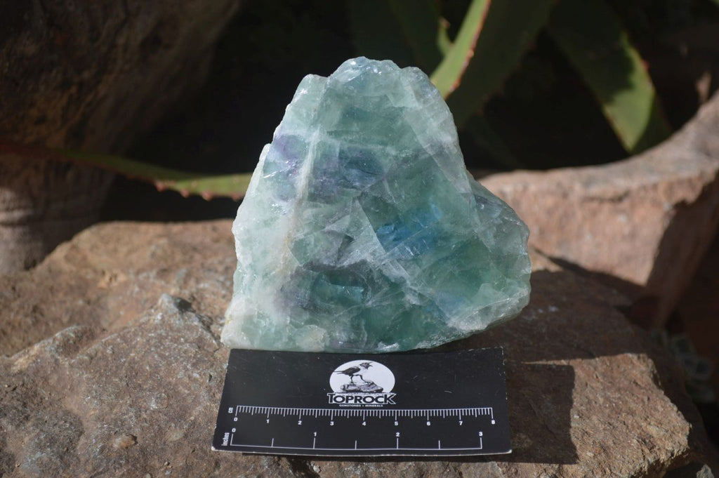 Polished One Side Polished Watermelon Fluorite Pieces  x 4 From Uis, Namibia - Toprock Gemstones and Minerals 