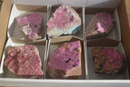 Natural Pink Salrose Cobaltion Dolomite Specimens  x 6 From Kakanda, Congo - Toprock Gemstones and Minerals 
