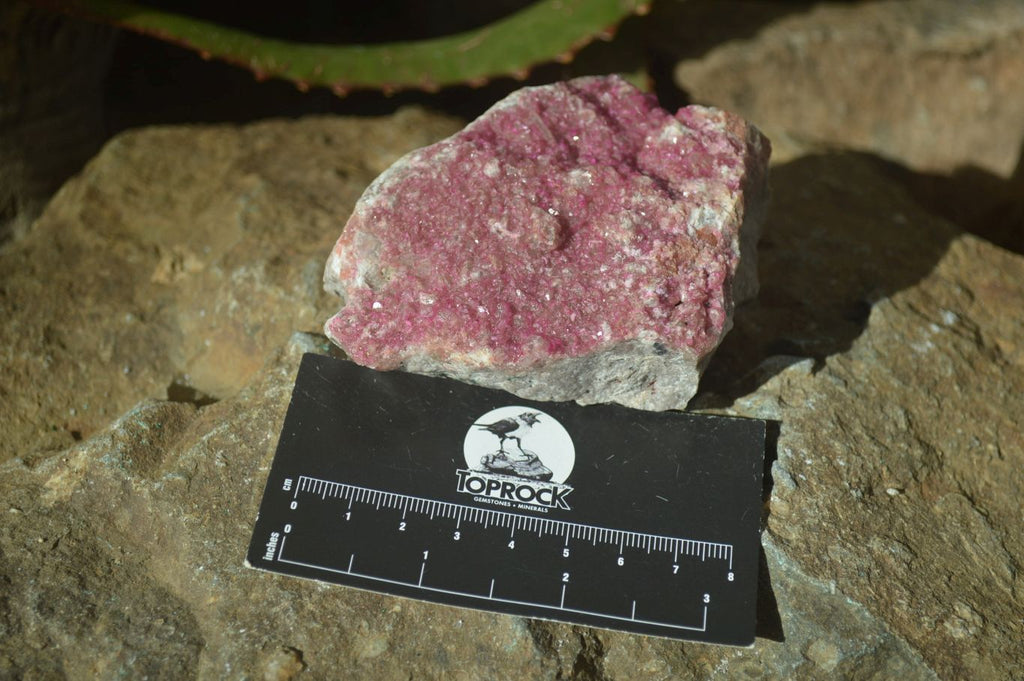 Natural Pink Salrose Cobaltion Dolomite Specimens  x 6 From Kakanda, Congo - Toprock Gemstones and Minerals 