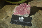 Natural Pink Salrose Cobaltion Dolomite Specimens  x 6 From Kakanda, Congo - Toprock Gemstones and Minerals 