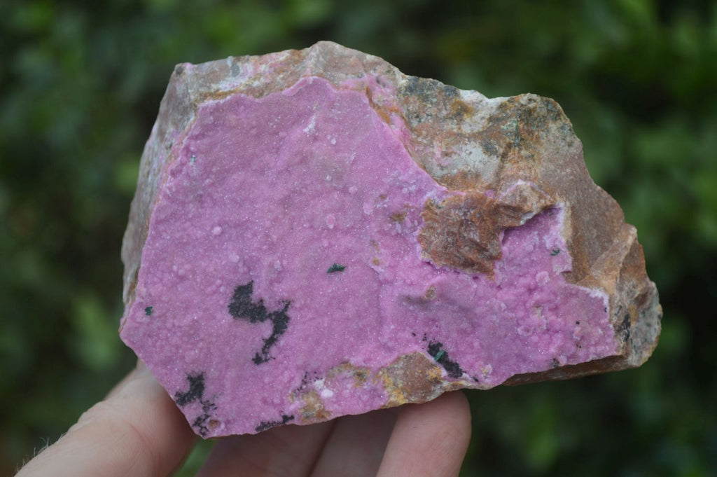 Natural Pink Salrose Cobaltion Dolomite Specimens  x 6 From Kakanda, Congo - Toprock Gemstones and Minerals 