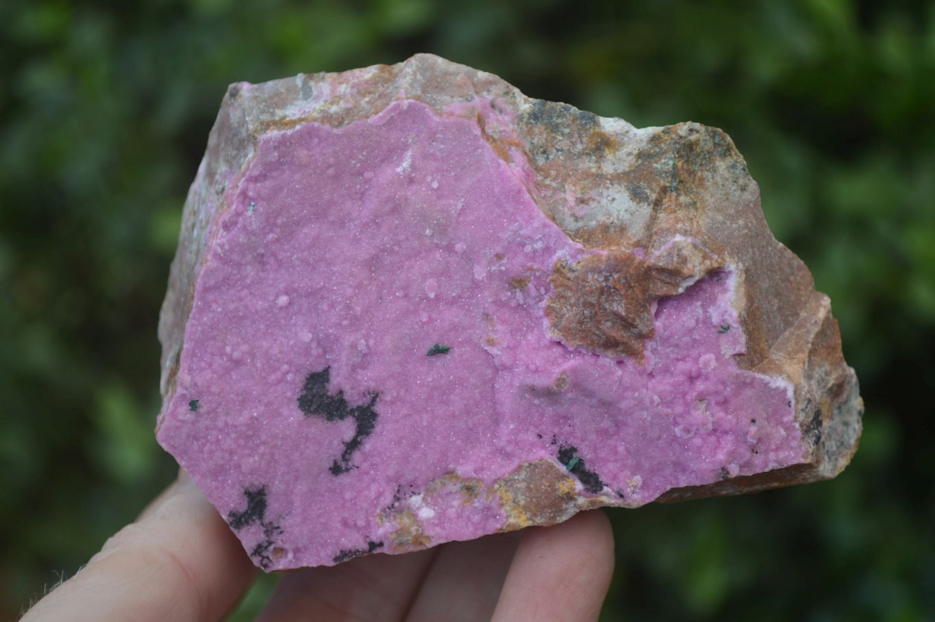 Natural Pink Salrose Cobaltion Dolomite Specimens  x 6 From Kakanda, Congo - Toprock Gemstones and Minerals 
