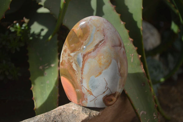 Polished Polychrome Jasper Standing Free Forms  x 6 From Mahajanga, Madagascar - Toprock Gemstones and Minerals 