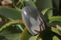 Polished Polychrome Jasper Standing Free Forms  x 6 From Mahajanga, Madagascar - Toprock Gemstones and Minerals 