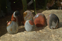 Polished Polychrome Jasper Standing Free Forms  x 6 From Mahajanga, Madagascar - Toprock Gemstones and Minerals 