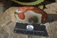 Polished Polychrome Jasper Standing Free Forms  x 6 From Mahajanga, Madagascar - Toprock Gemstones and Minerals 
