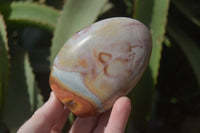Polished Polychrome Jasper Standing Free Forms  x 6 From Mahajanga, Madagascar - Toprock Gemstones and Minerals 