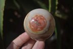 Polished Polychrome Jasper Spheres  x 4 From Madagascar - Toprock Gemstones and Minerals 